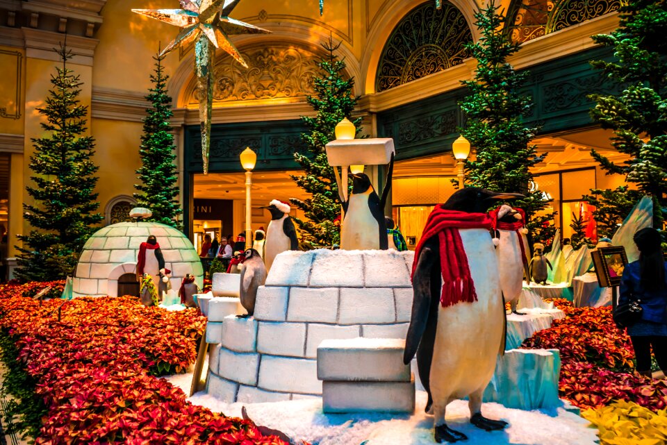 Penguin decorations conservatory brown hotel