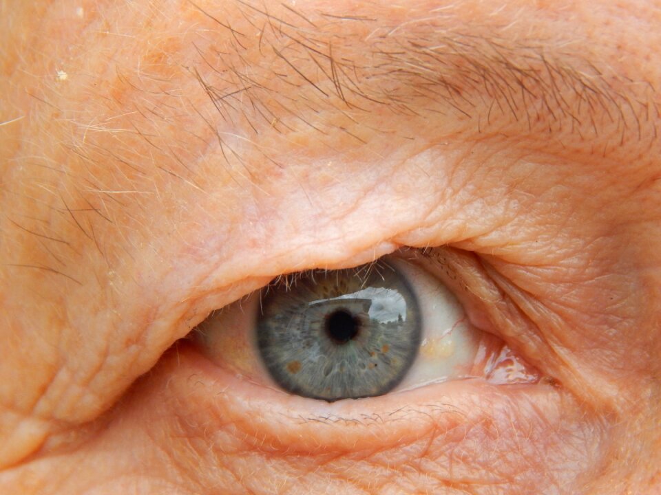 Eye view grandma