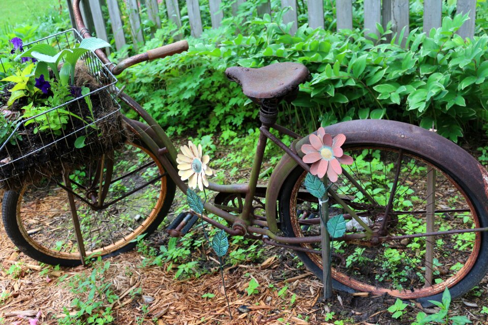 Bicycle vintage old