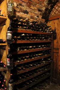 Wine cellar wine vinoteka