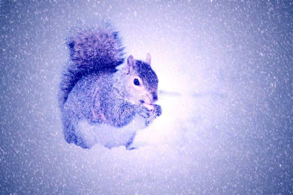 Winter snow light