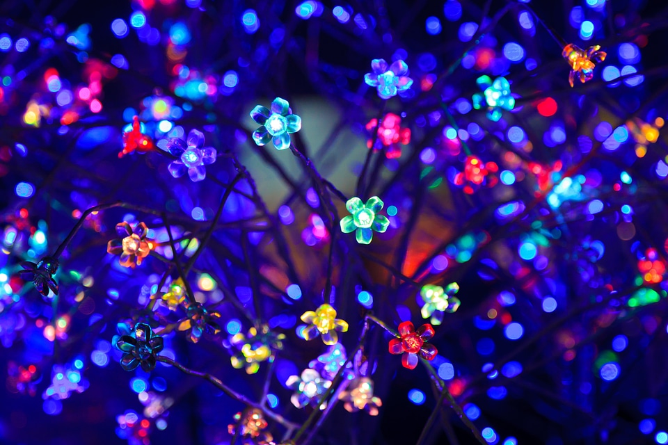Christmas color colored