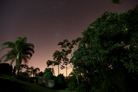 Nature nocturne sky