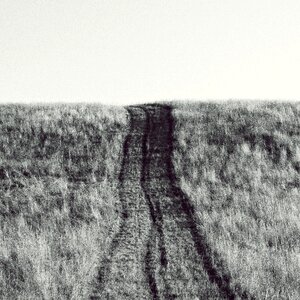 Path meadow horizon