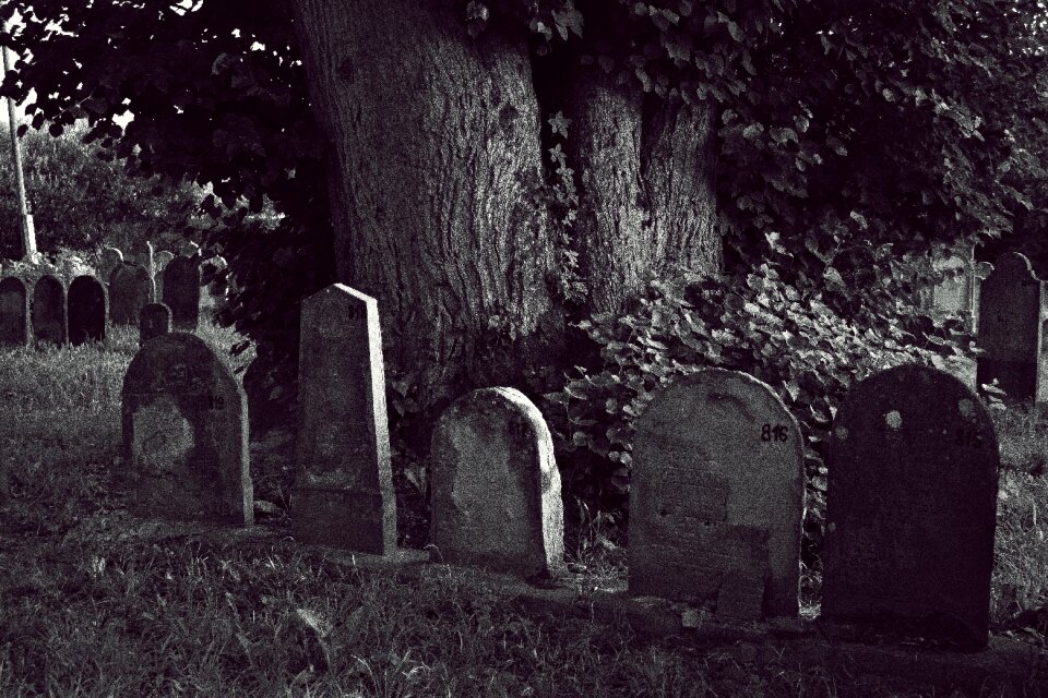 Cemetery jewish headstone
