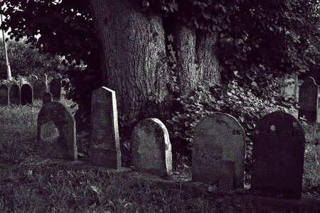 Cemetery jewish headstone