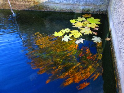 South bohemia reflection autumn photo