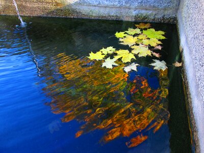 South bohemia reflection autumn