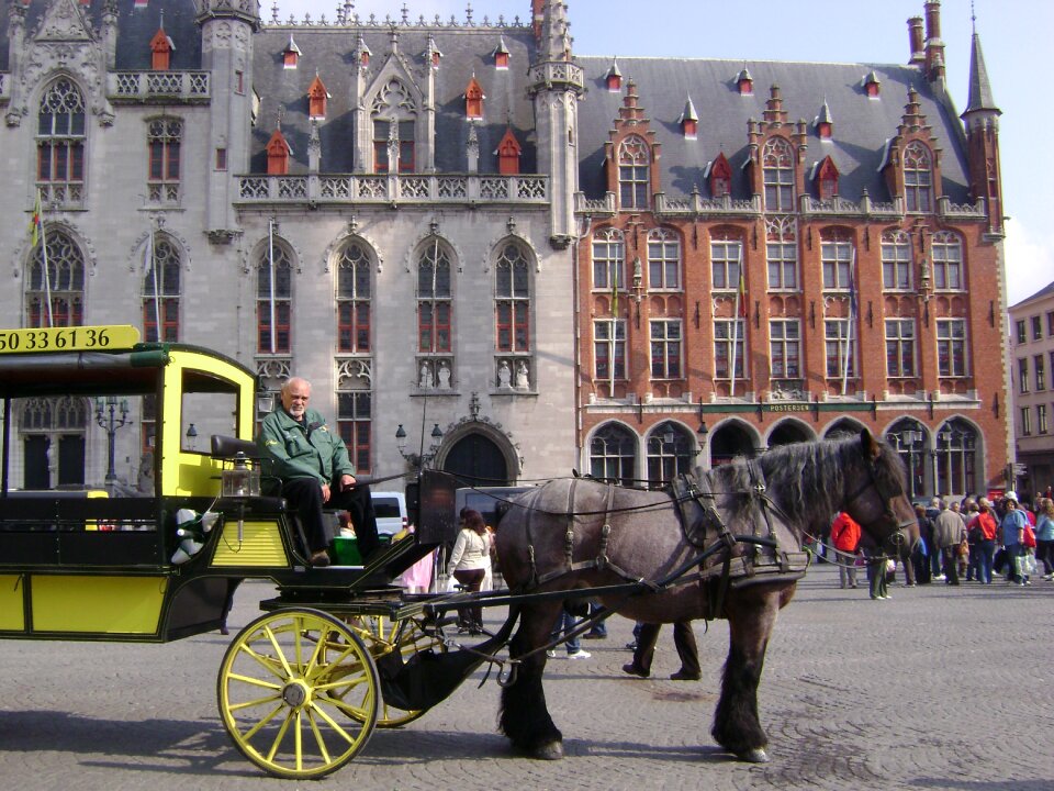 Grandfather horse cart tourism