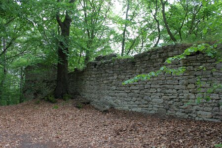 Castle burgruine look forestry