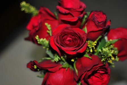 Green love decoration