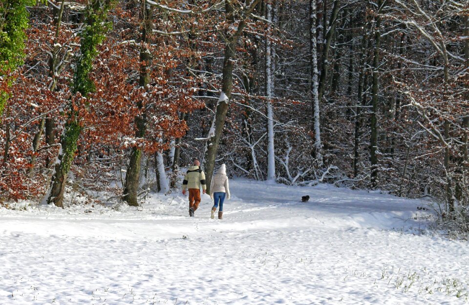 Forest cold human