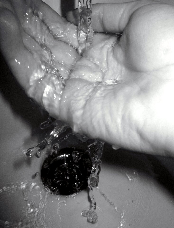 Black and white water one
