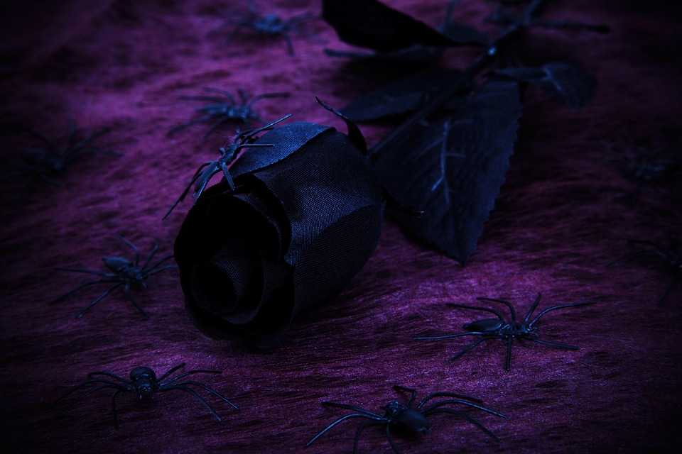 Decoration evil floral