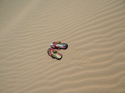 Sand dunes summer photo