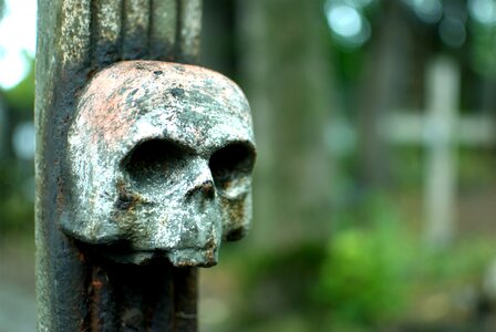 Skull buried the tomb of