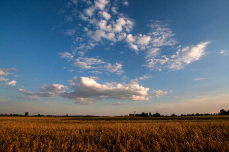 Agriculture landscape field photo