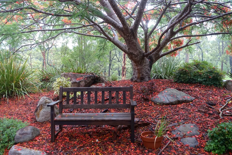 Outside peaceful resting
