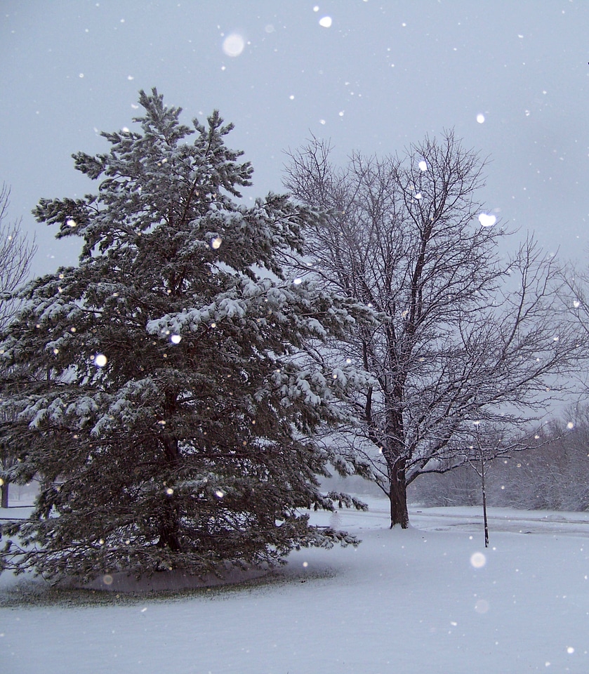 Christmas xmas winter