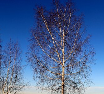 Sky blue mood photo