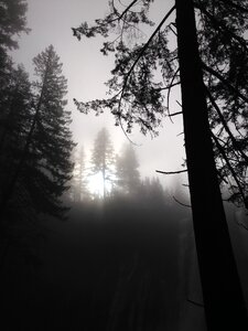 Fog mist photo