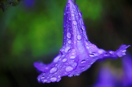 Macro blue water