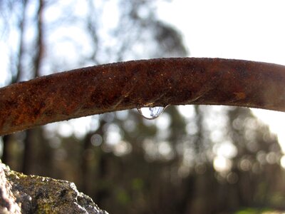 Rain drip drop of water photo