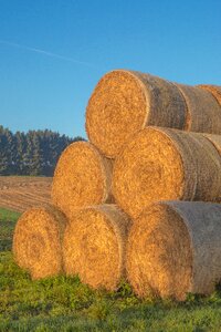 Agriculture bale cattle feed