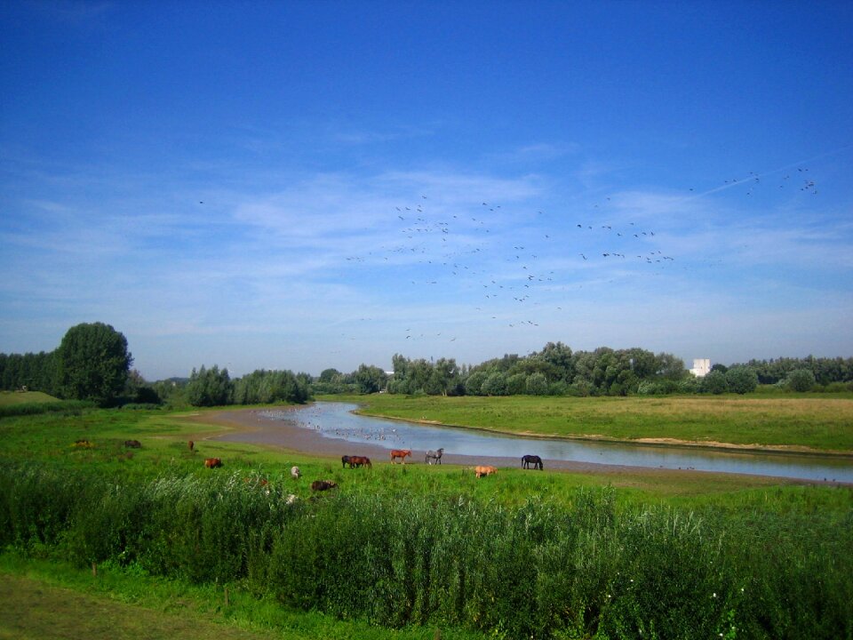 Holland river landscape idyll