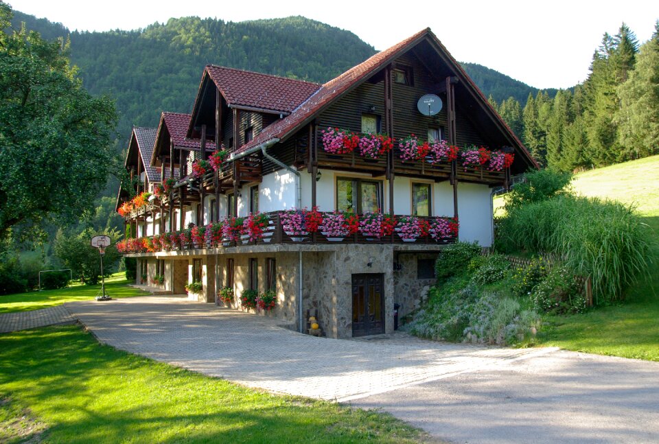 Slovenia chalet geraniums