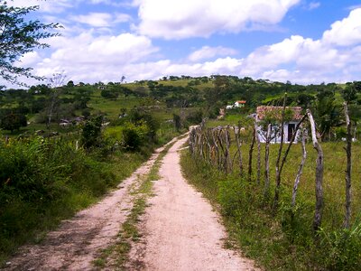 Landscape farm nature