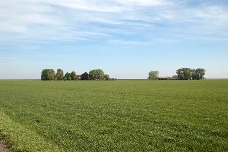 Field wide fields