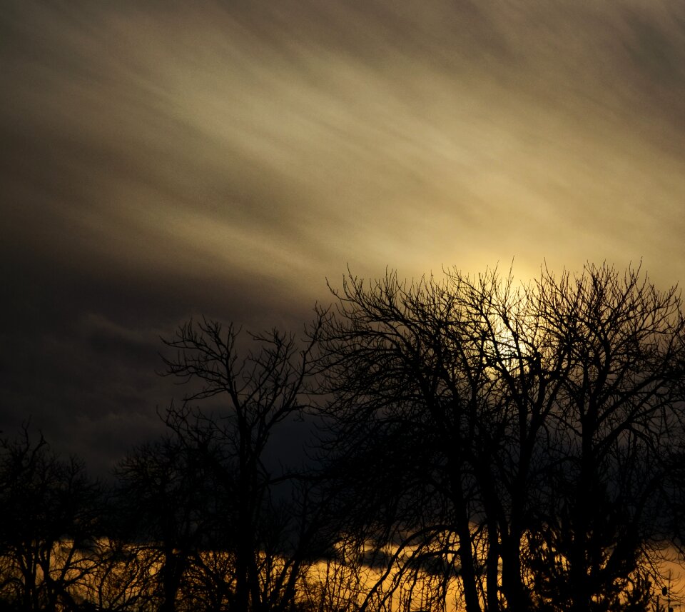 Landscape trees clouds