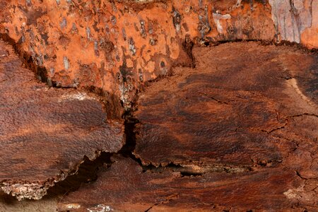 Close up structure texture