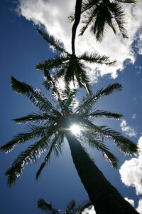 Blue sun summer