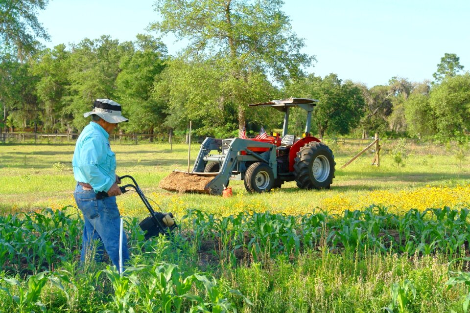 Garden agriculture food