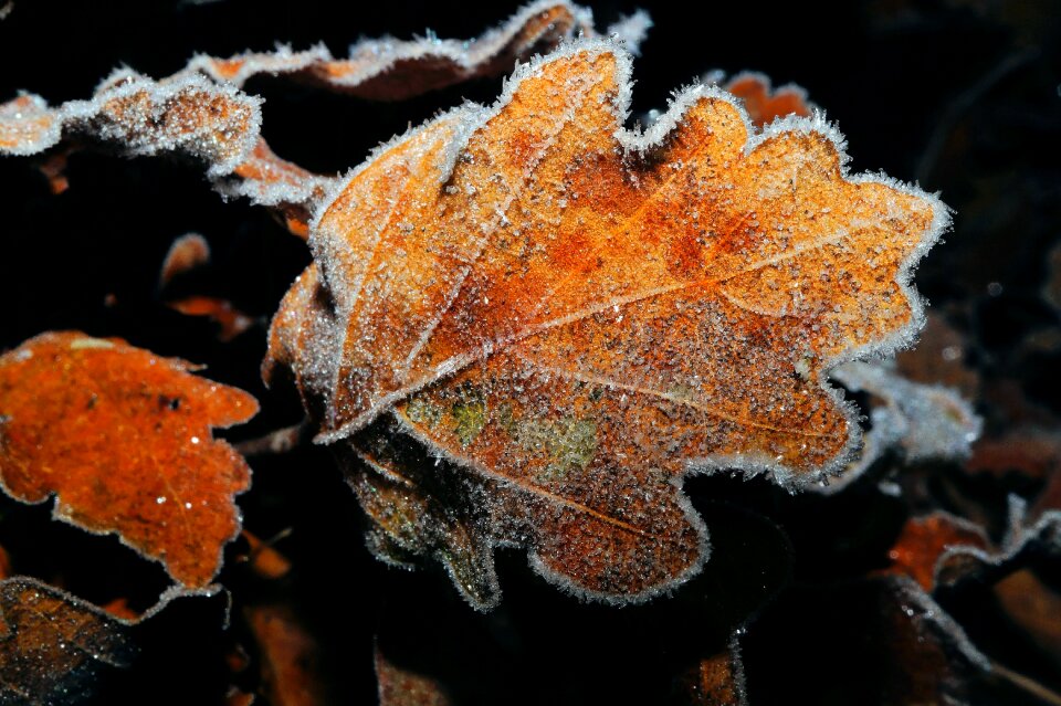 Ground winter frozen