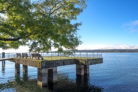 Investors port tree photo