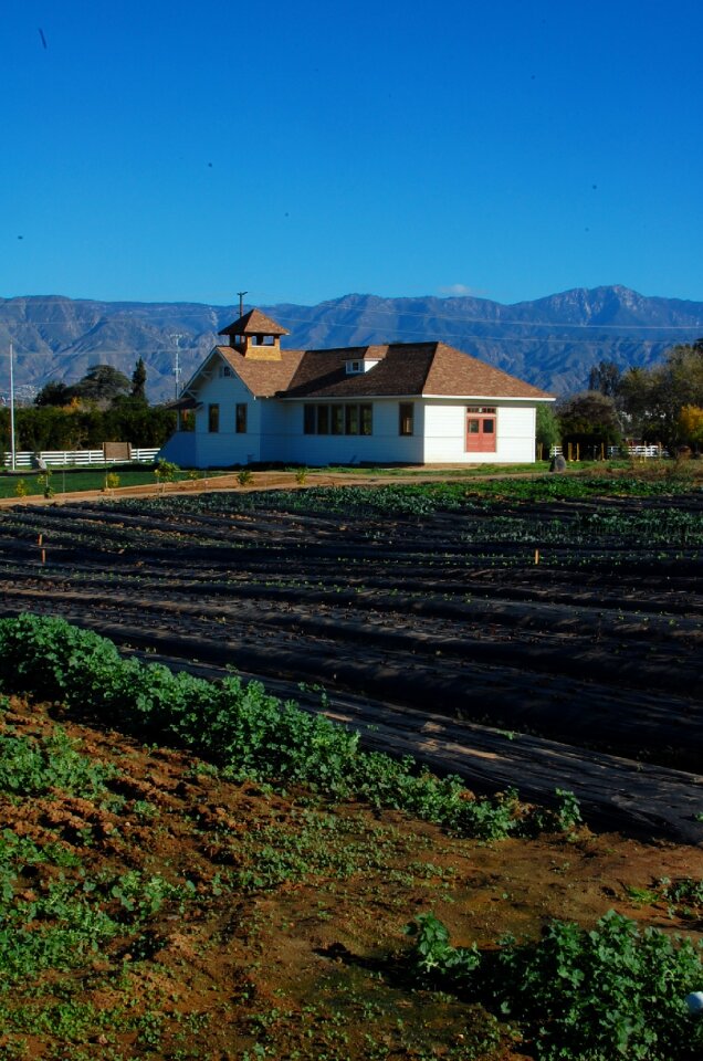 California organic farming photo
