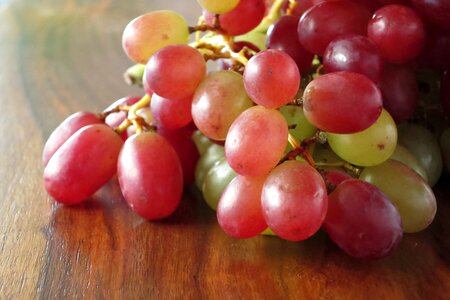 Vine grapevine fruit photo
