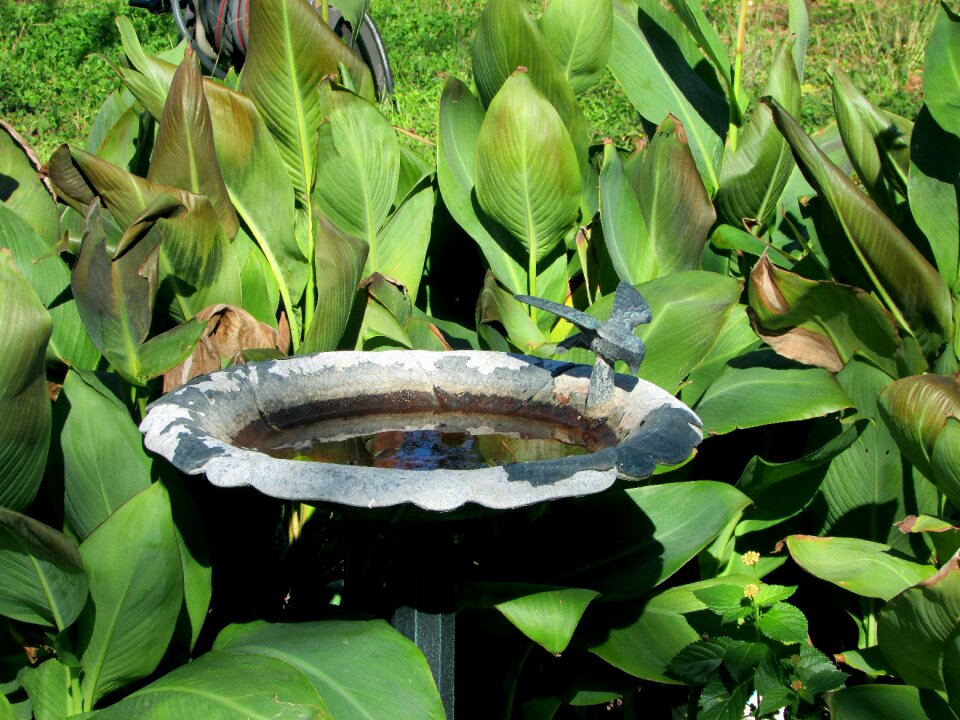 Nature green garden