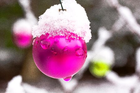 Cold frozen white