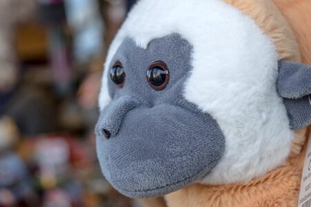 Toys cute funny