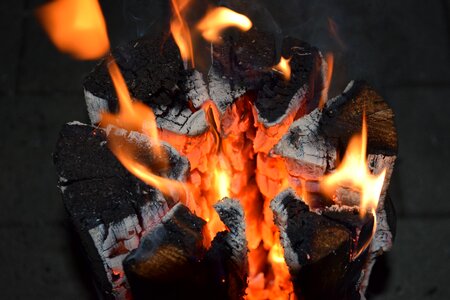 Wood log burn photo