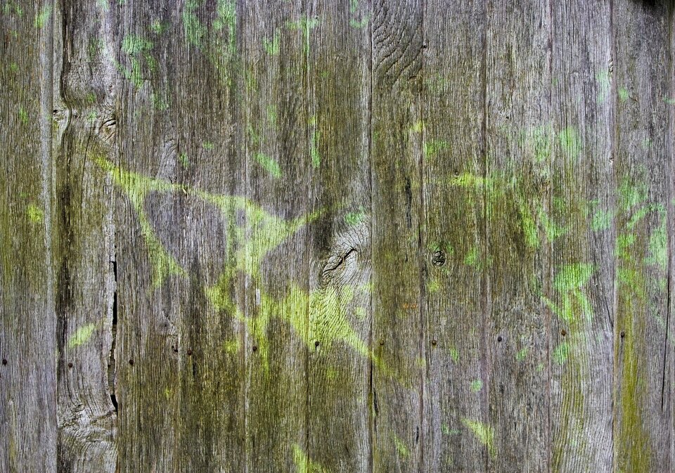 Painted structure texture
