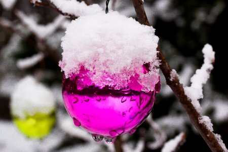Cold frozen white