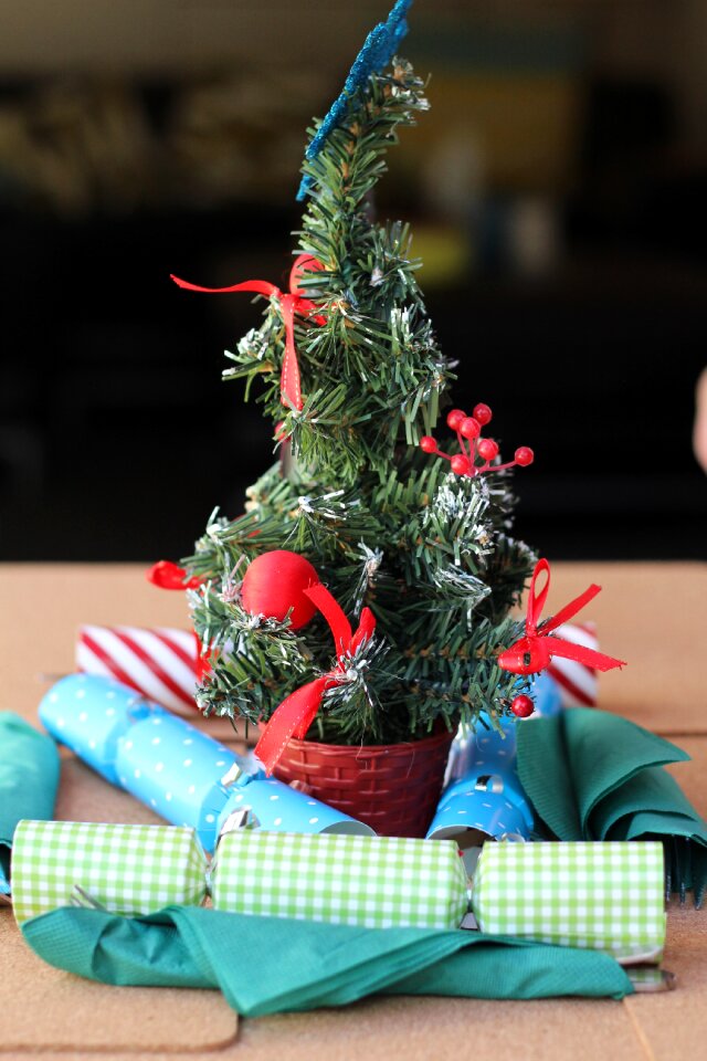Holiday xmas celebration