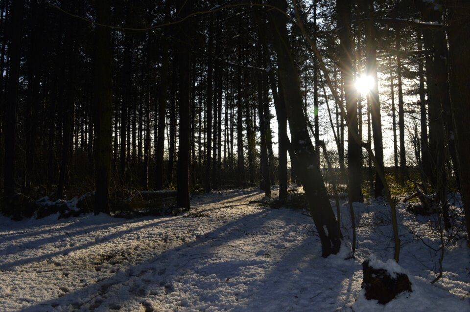 Shadow winter season