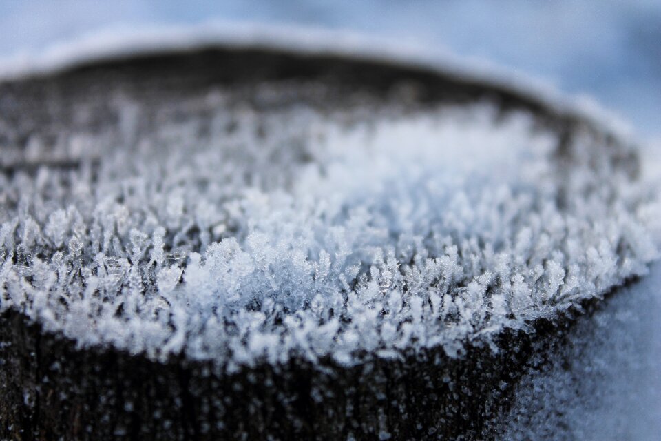 Frost winter nature