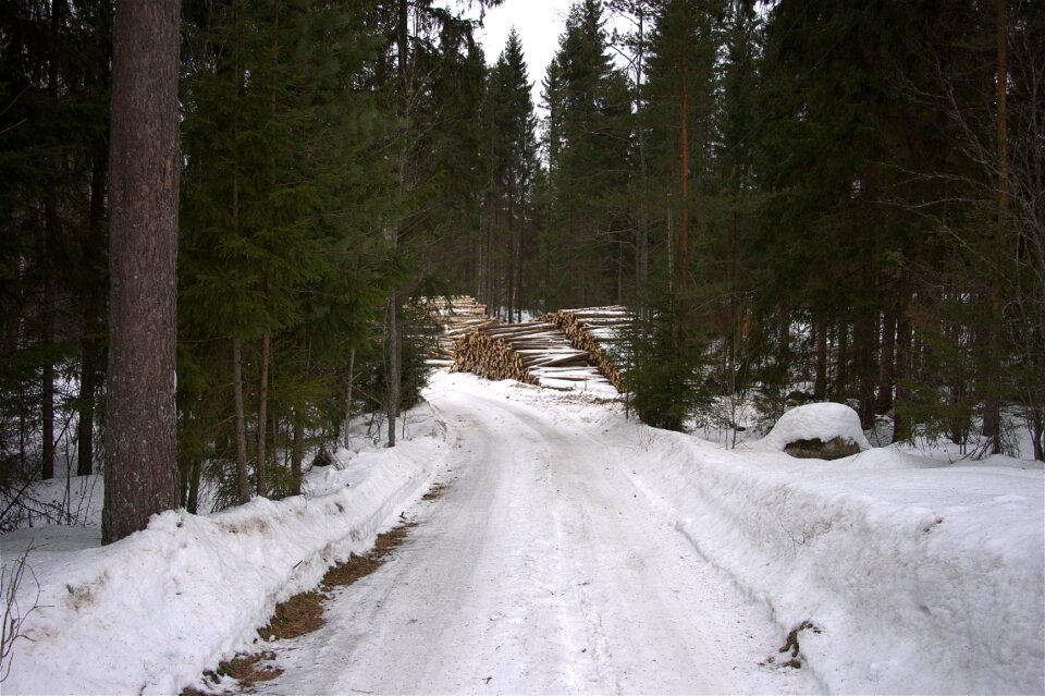 Landscape cold go for a walk